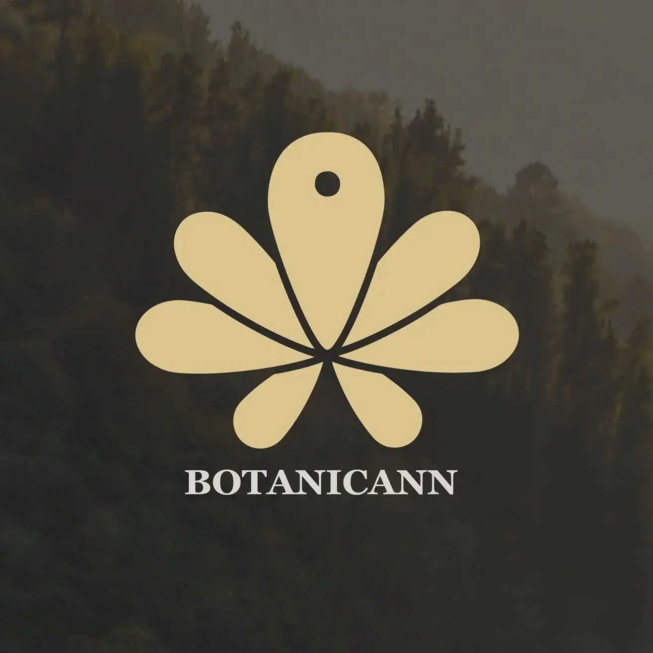Descubre la nueva colección de productos de CBD de Botanicann y transforma tu bienestar